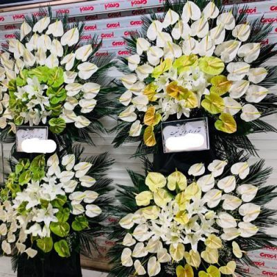 تاج گل برای امامزاده جعفر بن محسن (ع)