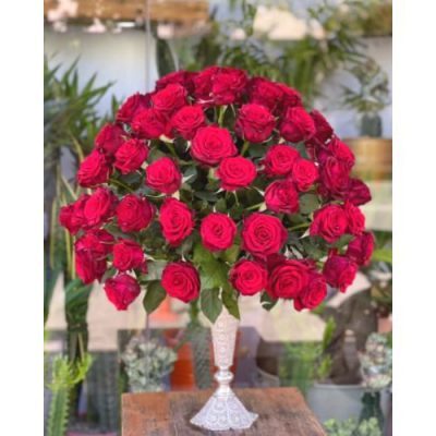گل برای تالار پذیرایی آناهیتا جردن پارک ملت