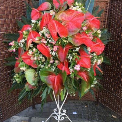 تاج گل برای آمفی تئاتر و سالن همایش ولنجک