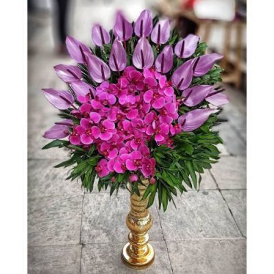 گل برای تالار لبینا صدرا