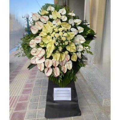 تاج گل برای مسجد سادات هندی فروزش امیر بهادر