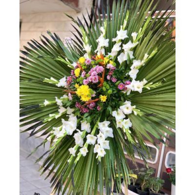 تاج گل برای امامزاده سید معصوم تهران بریانک