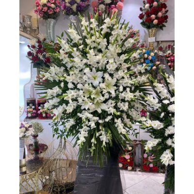 تاج گل برای امامزاده دماوند