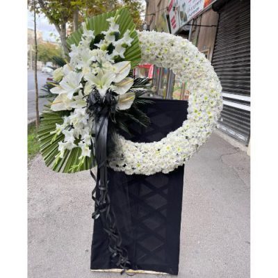 تاج گل برای مسجد جامع محمدیه زعفرانیه