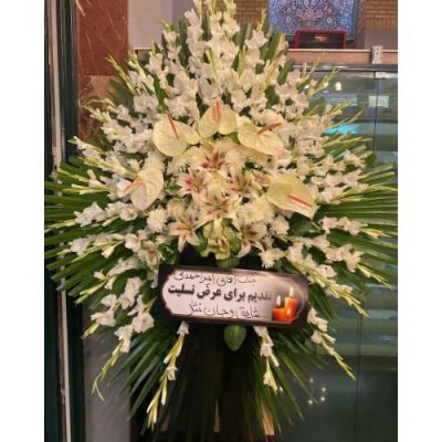 تاج گل برای مسجد سرتخت
