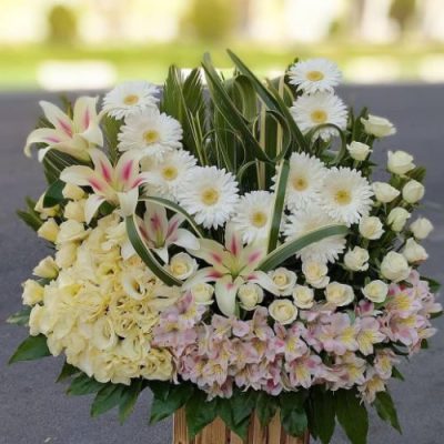 دسته گل برای آزمایشگاه پویان کوی بیمه