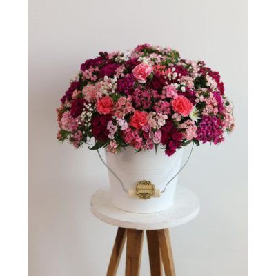 دسته گل برای آزمایشگاه جشنواره تهرانپارس غربی