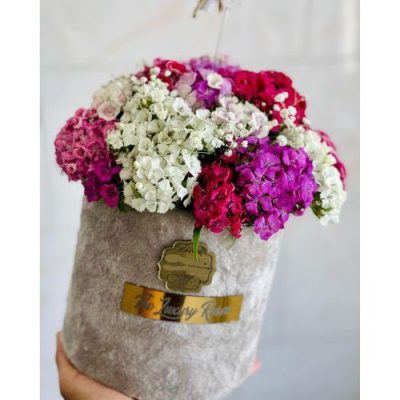 دسته گل برای آزمایشگاه پرتو لب ونک