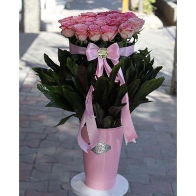 دسته گل برای آزمایشگاه ماد طرشت