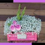 دسته گل برای کلینیک نیلماه پیروزی
