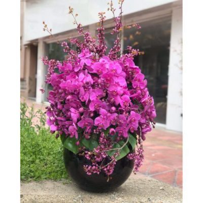دسته گل برای کلینیک ونک پارک شیراز