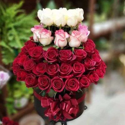دسته گل برای اداره کل مدیریت بحران استان تهران