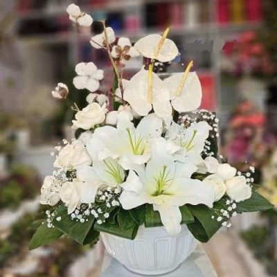 دسته گل برای اداره کل درمان تامین اجتماعی کشاورز غربی
