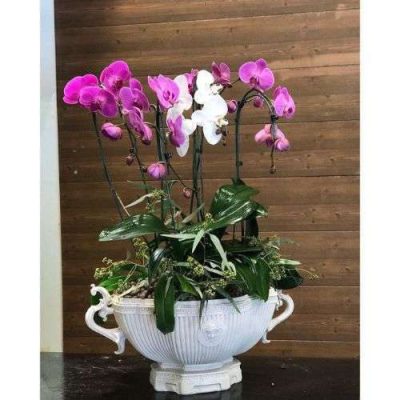 دسته گل برای اداره کار و امور اجتماعی شرق تهران حکیمیه