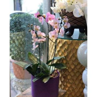 دسته گل برای اداره آموزش و پرورش منطقه 2 کوی نصر
