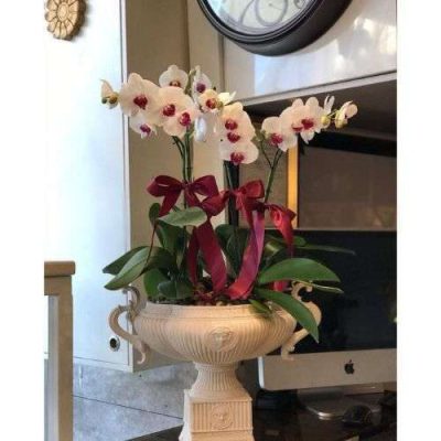 دسته گل برای اداره آموزش و پروش منطقه یک تهران و شمیرانات دزاشیب