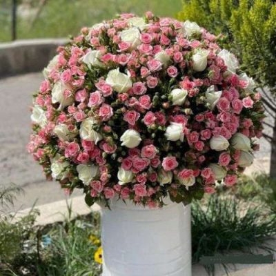 دسته گل برای اداره کل امور ورشکستگی ولیعصر