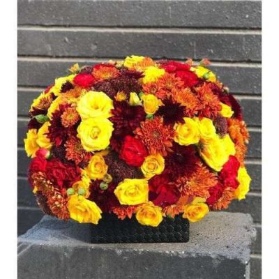 دسته گل برای اداره کل کتابخانه های عمومی قائم مقام سنائی