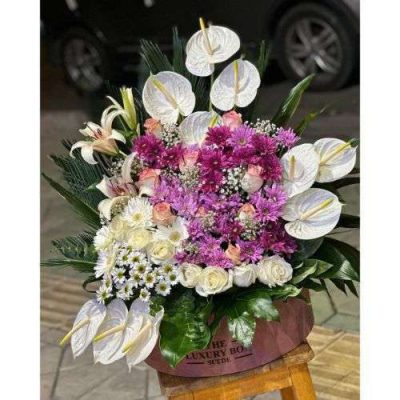 دسته گل برای بانک ملی شاهین مخبری