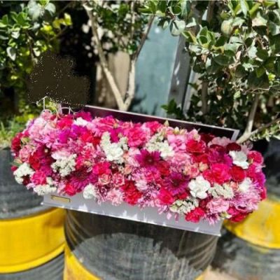 دسته گل برای بانک سرمایه شعبه ملاصدرا شیراز