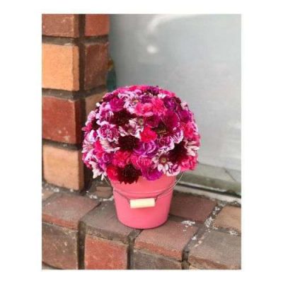 دسته گل برای شرکت فاضلاب عباس آباد اندیشه