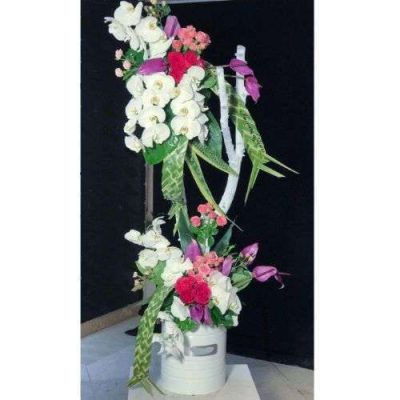دسته گل برای اداره کمیسیونهای پزشکی قانونی استان تهران ایوانک