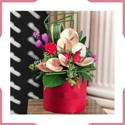 دسته گل برای سازمان ورزش شهرداری زنجان جنوبی