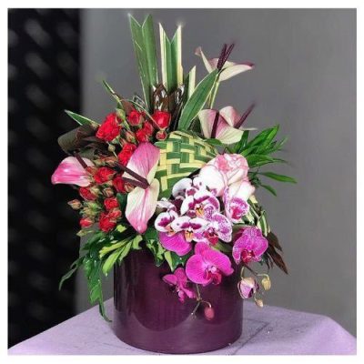 دسته گل برای کمیساریای عالی پناهندگان سازمان ملل متحد در ایران ونک