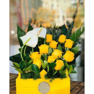 دسته گل برای سازمان توسعه و نوسازی معادن و صنایع معدنی ایران ایرانشهر