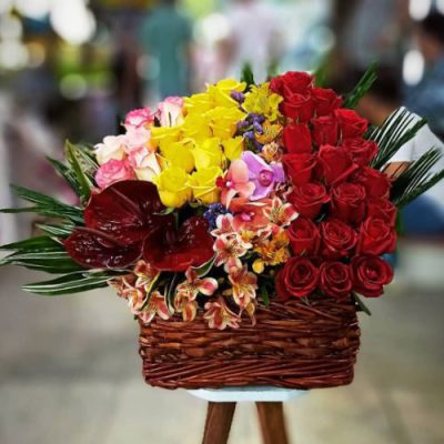 دسته گل برای سازمان بازرسی کل کشور ایرانشهر