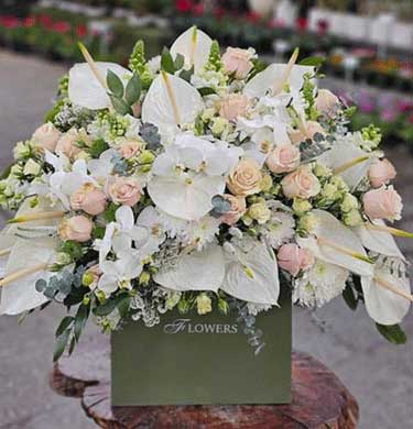 باکس گل لوکس برای تبریک تولد مدیر ، ریس ، همکار ، دوست