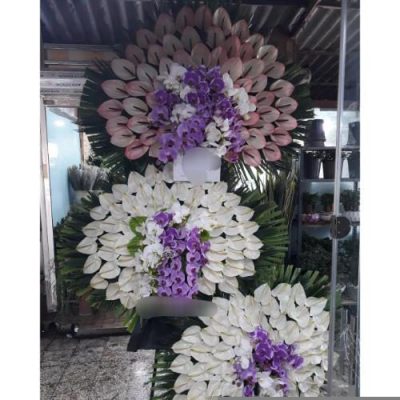 تاج گل افتتاحیه برای نمایشگاه‌های عکاسی 1751