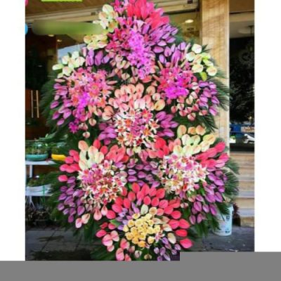 تاج گل برای نمایشگاه دوچرخه و اسکوتر 1169