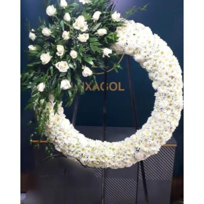 تاج گل برای نمایشگاه مدرن‌سازی 1290