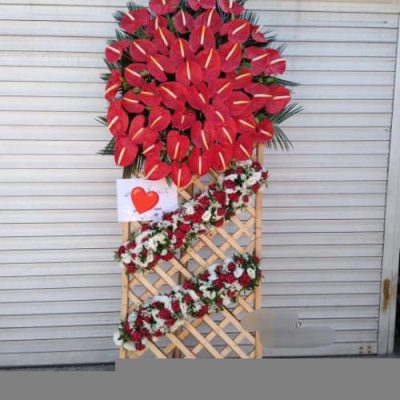 تاج گل ویژه افتتاحیه سینماهای جدید 1737