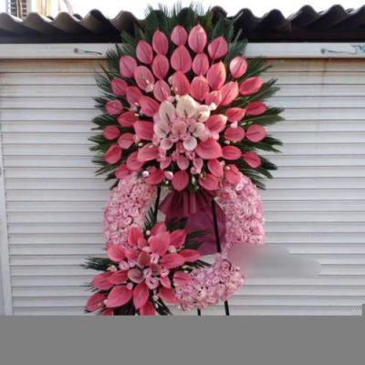 گل برای افتتاحیه کافه‌های بزرگ 1734