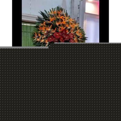 گل فروشی تهران برای افتتاحیه نمایشگاه‌های علمی 1723