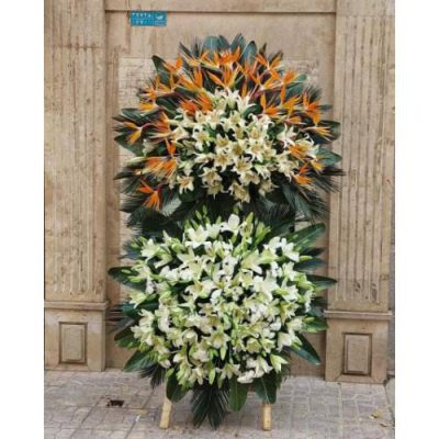 تاج گل برای افتتاحیه مراکز تفریحی کودکان 1855