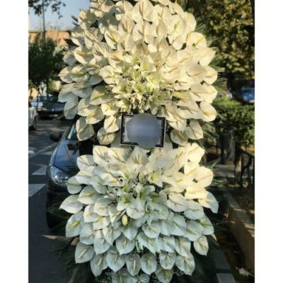تاج گل برای افتتاحیه مراکز تفریحی 1899