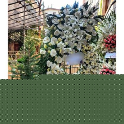 تاج گل برای افتتاحیه مراکز علمی 1903