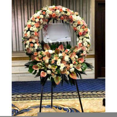 گل برای افتتاحیه ایونت‌های فرهنگی 1895