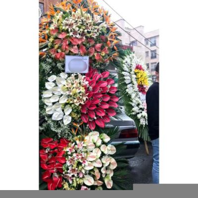 تاج گل برای افتتاحیه کارگاه‌های آموزشی 1891