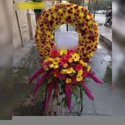 تاج گل برای نمایشگاه جوانان و تحصیلات 1248