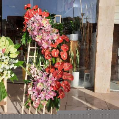 تاج گل برای افتتاحیه ایونت‌های علمی 1969