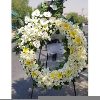 تاج گل برای افتتاحیه ایونت‌های علمی 1980