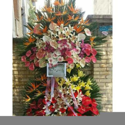 تاج گل برای نمایشگاه جوانان و فناوری 1326