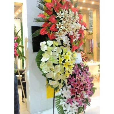 تاج گل برای نمایشگاه بازی‌های آموزشی 1405