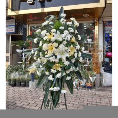 تاج گل برای نمایشگاه علوم پزشکی 1482