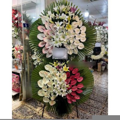 فروش تاج گل برای افتتاحیه رویدادهای علمی 2054