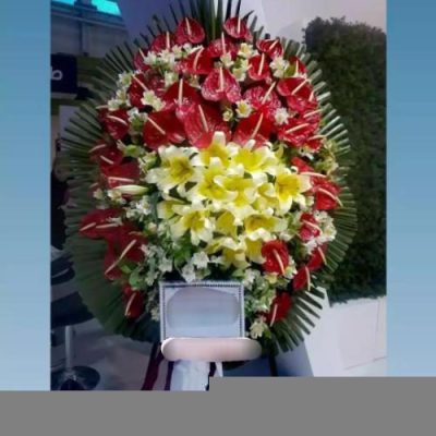 تاج گل برای نمایشگاه نوآوری در علوم 1206